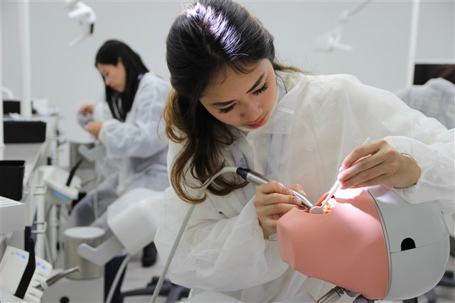 Dentists from Indonesia during the hands-on course with Rebilda Post.