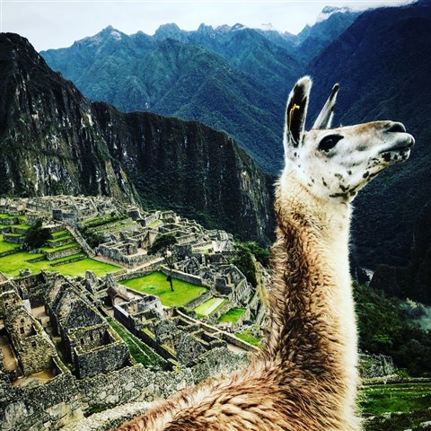 Impresiones de Perú.